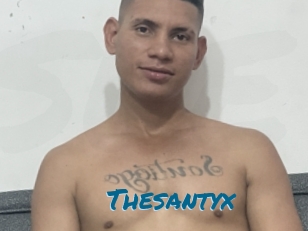 Thesantyx