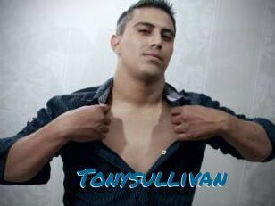 Tonysullivan