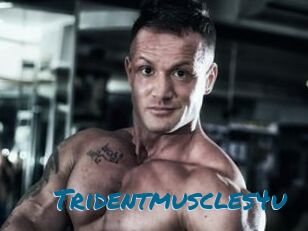 Tridentmuscles4u