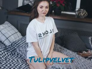 Tulipvelvet