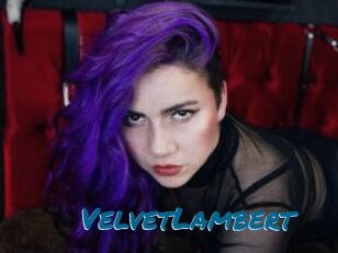 VelvetLambert