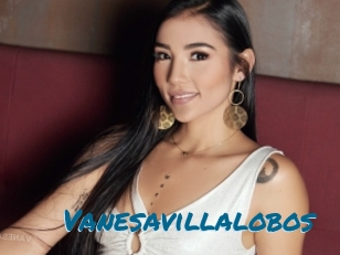 Vanesavillalobos