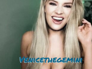 Venicethegemini