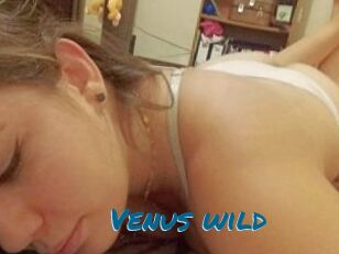 Venus_wild