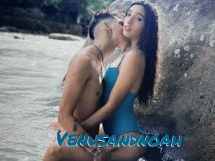 Venusandnoah