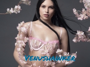 Venushawker