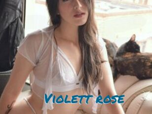 Violett_rose