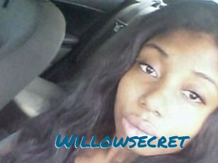 Willow_secret