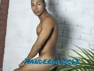 Xandermuscle