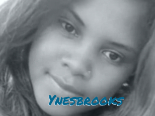 Ynesbrooks