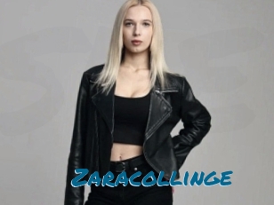 Zaracollinge