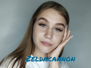 Zeldacannon